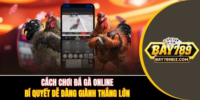 Cách Chơi Đá Gà Online