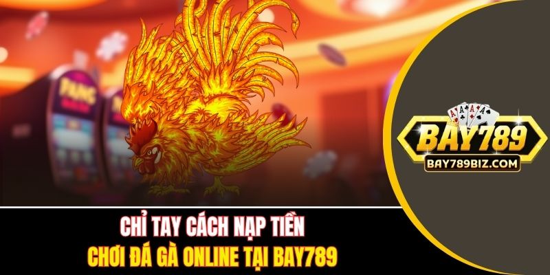 Chỉ tay cách nạp tiền chơi đá gà online tại BAY789