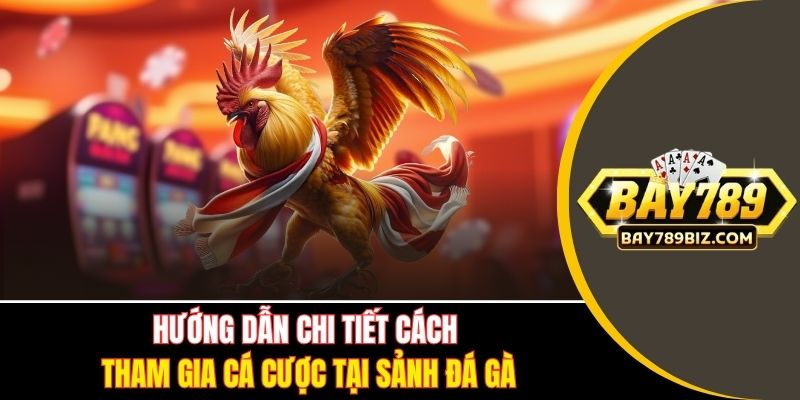 Hướng dẫn chi tiết cách tham gia cá cược tại sảnh đá gà