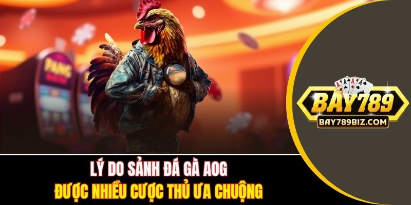 Lý do sảnh đá gà AOG được nhiều cược thủ ưa chuộng