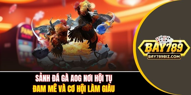 Sảnh Đá Gà AOG