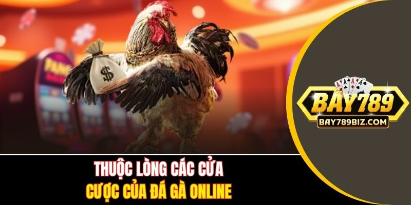 Thuộc lòng các cửa cược của đá gà online